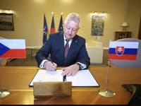 Češka bo tudi prihodnje leto varovala slovaški zračni prostor