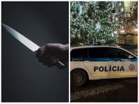 Tragédia pri Trnave: Ľubica (55) dobodala Rudolfa (†61), tiekol alkohol a susedia už niečo tušili!