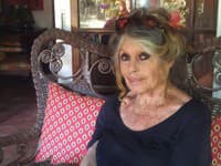 Zomrela Brigitte Bardot (†91): Známe osobnosti a organizácie jej vzdali HOLD!