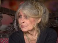 OSTRÉ vyhlásenie Brigitte Bardot (†91) niekoľko týždňov pred SMRŤOU: Z jej slov mrazí!