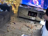 NAJHORŠIA vianočná služba! Mama zaplatila Grincha, aby pobavil deti: Namiesto vankúšovej bitky ZDEVASTOVAL dom