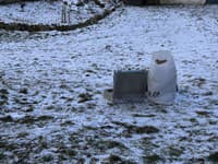 Policajti už druhý deň riešia BRUTÁLNU vraždu ženy: Vrah jej odsekol hlavu! Časť tela stále chýba