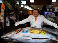 NAJDRAHŠIA ryba na svete: TENTO tuniak stál viac než 510 miliónov! Komu bude servírovaná?