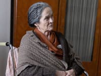 Hana Gregorová v seriáli Dunaj, k vašim službám