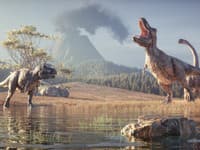 Dinosaury NIKDY neexistovali? Konšpiračná teoretička položila otázku, ktorá ZMIATLA internet! Vedci majú JASNÚ odpoveď