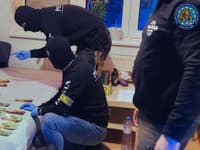 Policajná akcia Sáva.