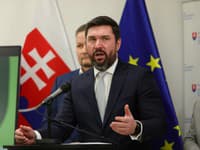 Výmera cukrovej repy na Slovensku klesne po zatvorení cukrovaru o 8000 ha, uviedol Takáč