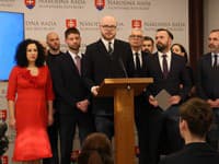 Tender za 33 miliónov: PS a SaS bijú na poplach, minister má vysvetľovať!