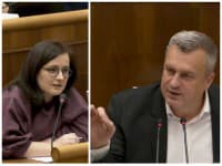 Danko vybuchol od hnevu: Mesterova nazvala vládu KYSELINÁRMI, nastal krik a schôdzu museli prerušiť!
