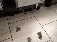 Znečistená podlaha v sklade