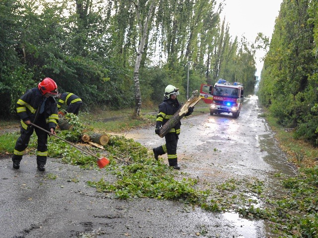 Na Slovensku vyčíňajú BÚRKY! Silný vietor pácha škody, mestom na Považí sa prehnala VETERNÁ SMRŠŤ