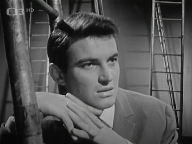 Jaromír Mayer