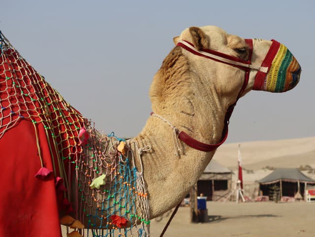 BOTOX, zväčšené pery a