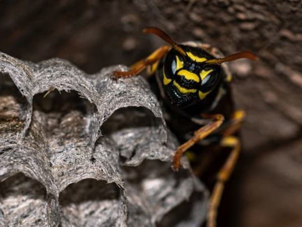 Scéna ako z NAJHORŠIEHO