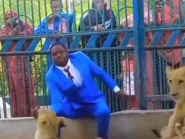 Údajný pastor vliezol do klietky plnej levov, aby dokázal, že ho ochraňuje Boh: Toto sa stalo