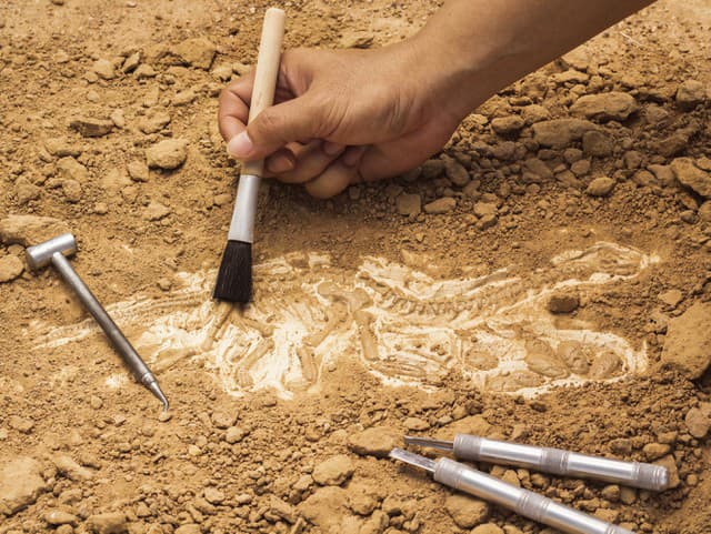 Jaskyňa pod hradom Pembroke