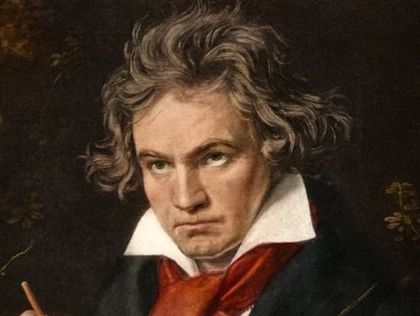 Analýza Beethovenových vlasov dospela