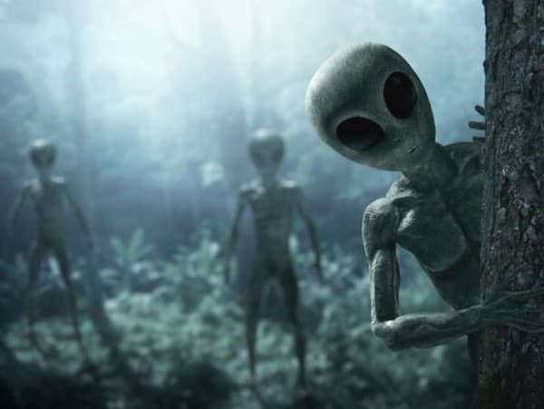 Z fikcie do reality: