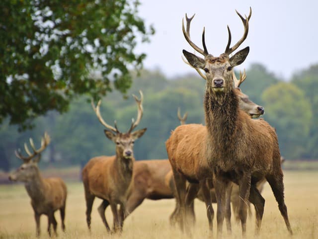 Nádherný nález, ktorý vás