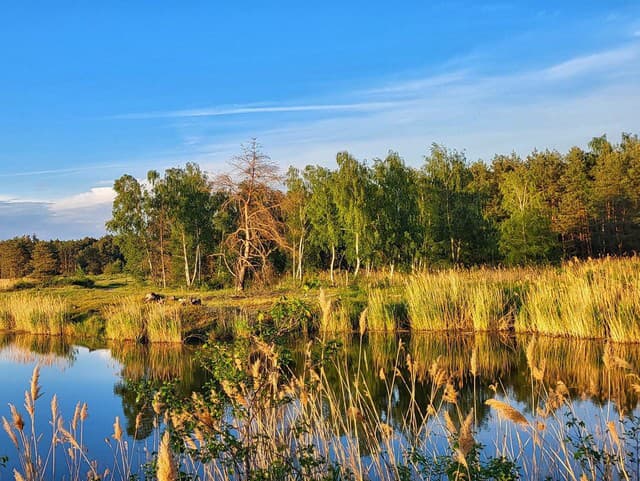 Logistický park v obľúbenej