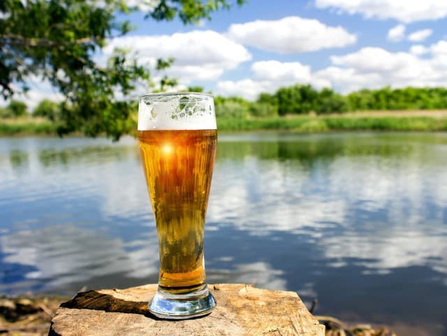 Pivo z pohľadu výživy