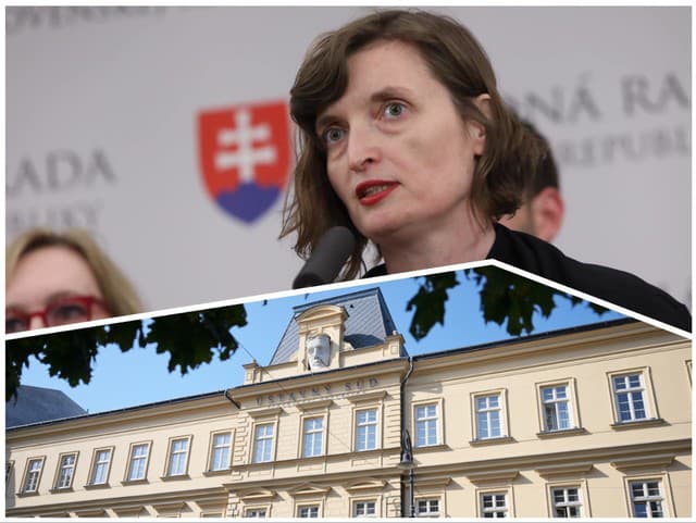 Na Ústavnom súde sa