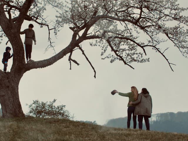 Ako to vyzerá, keď