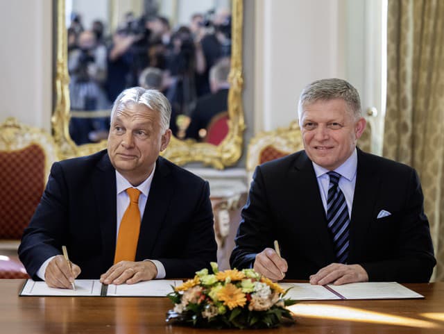 Slovensko a Maďarsko žiadajú