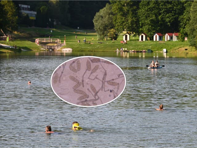 Skrytá HROZBA v obľúbenej