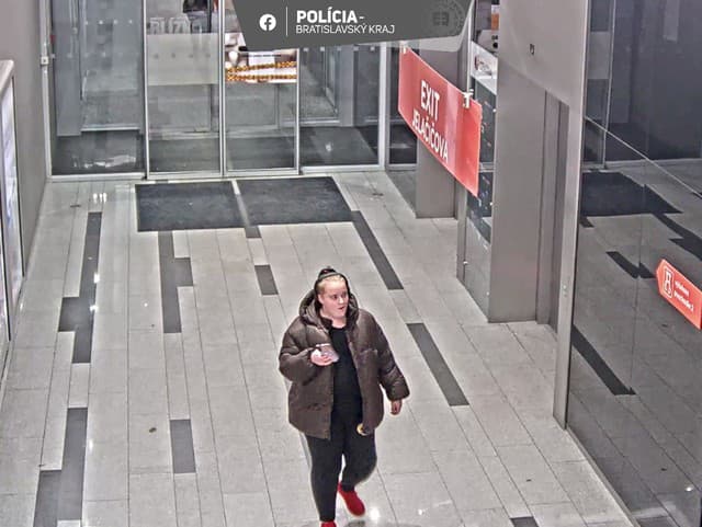 Polícia vyšetruje krádež olejomaľby