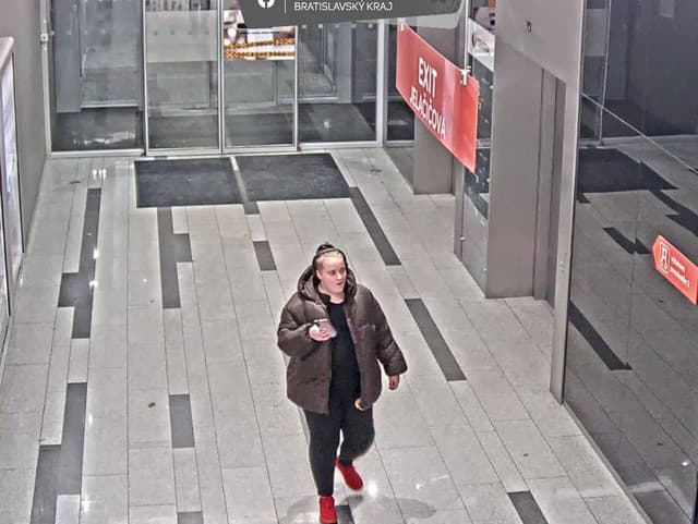 Polícia vyšetruje krádež olejomaľby