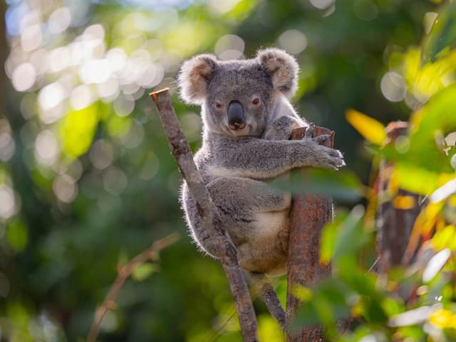 Bežná jazda autobusom sa