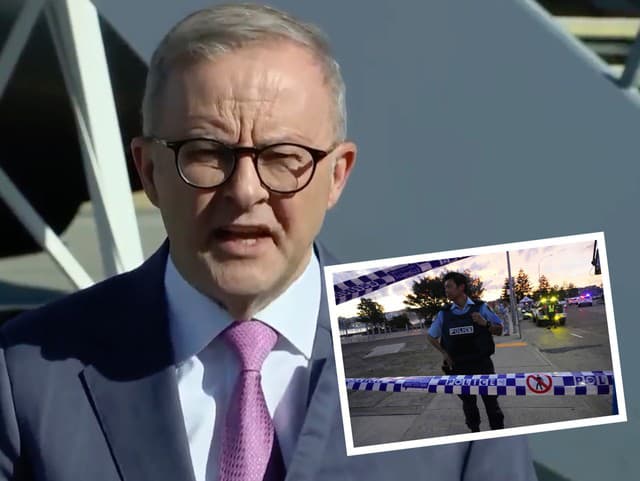 Albanese po útoku na