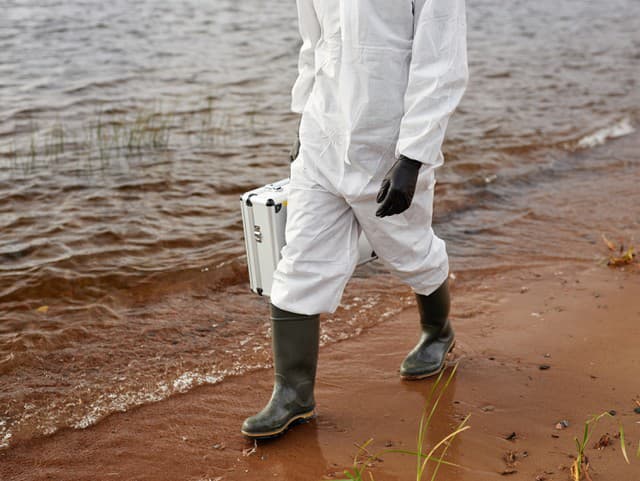 DESIVÝ nález na pláži: