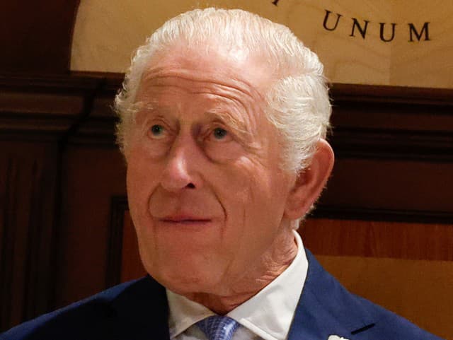 Chorý kráľ Karol III.