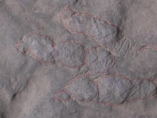 Bratia si urobili chodník