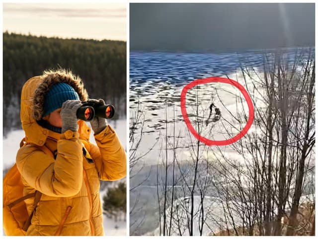 Strážnici neverili vlastným očiam: