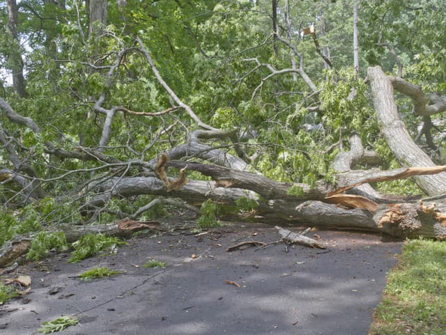 Vodiči, pozor: Na ceste