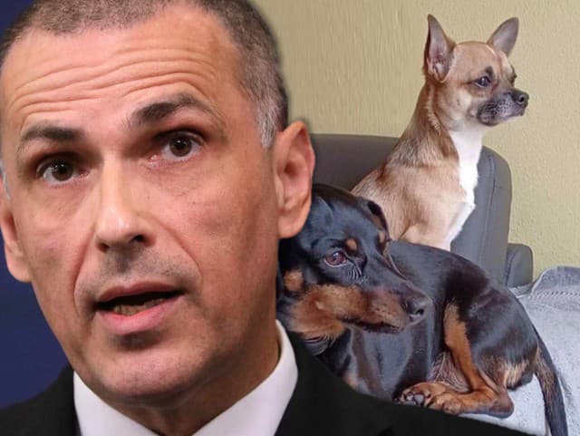 Žilinka krátko pred novým