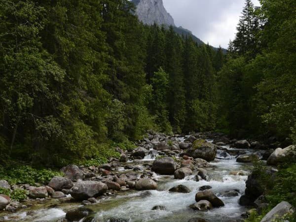 Tarabov rezort reaguje na