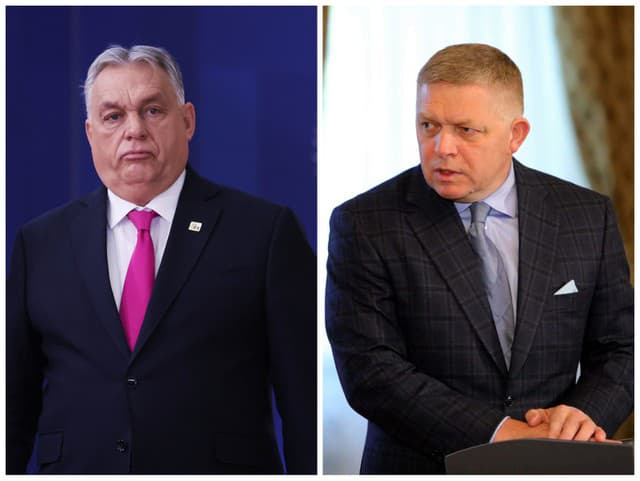 Benešove dekréty gradujú a