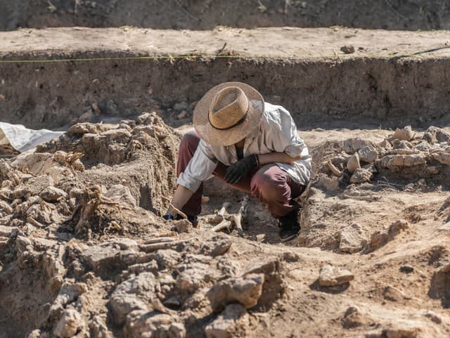 Hostia hotela spali roky