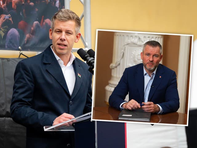 Péter Magyar a Peter