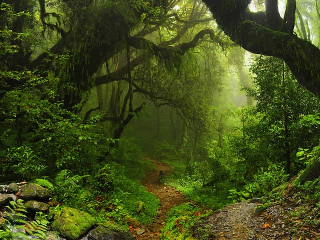 Svet to ešte nevidel: