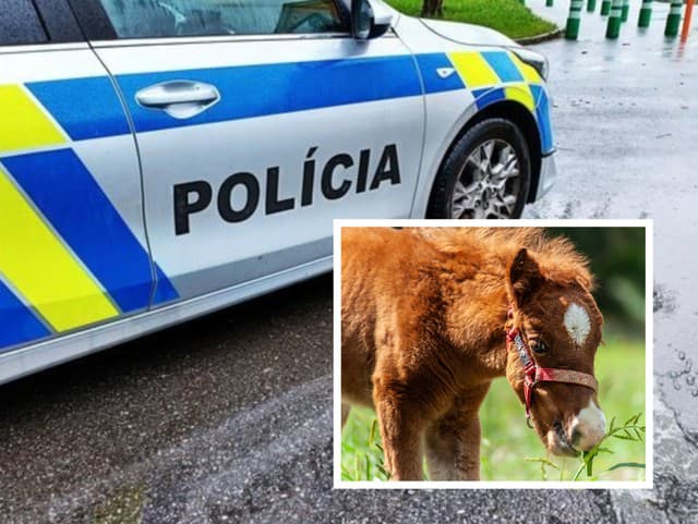 Kuriózna situácia v Šuranoch: