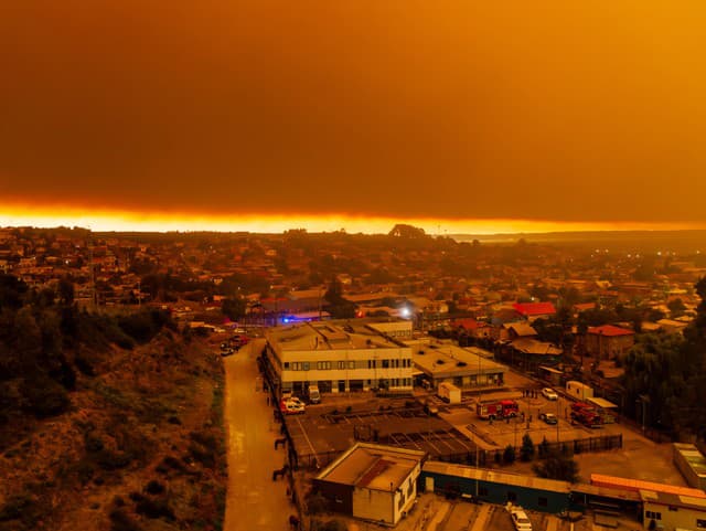 Platí stav núdze! Lesné