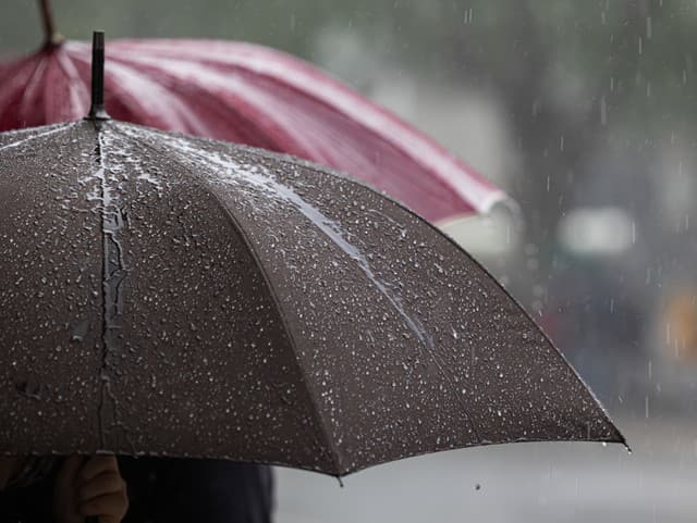 Zima ustupuje, prichádzajú lejaky: