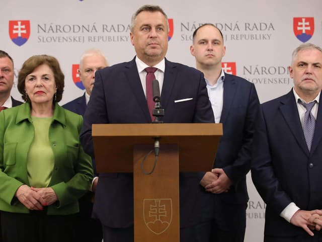 SNS volila nového predsedu