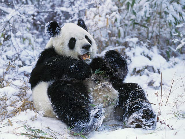 Najroztomilejšie VIDEO internetu! Malá