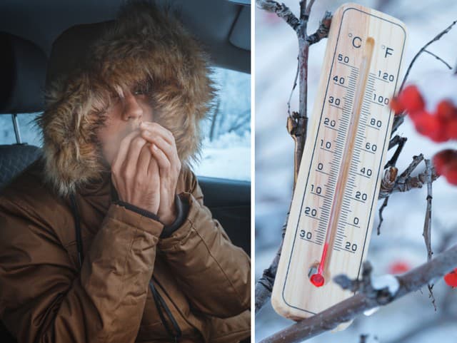 Je to POTVRDENÉ! Beštia